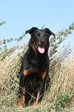 BEAUCERON 176